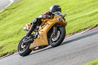 Advanced Group Yellow Bikes