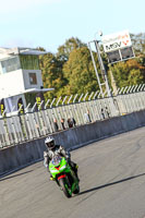 Lower Group Green Bikes