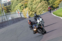 anglesey;brands-hatch;cadwell-park;croft;donington-park;enduro-digital-images;event-digital-images;eventdigitalimages;mallory;no-limits;oulton-park;peter-wileman-photography;racing-digital-images;silverstone;snetterton;trackday-digital-images;trackday-photos;vmcc-banbury-run;welsh-2-day-enduro