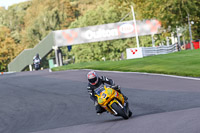 anglesey;brands-hatch;cadwell-park;croft;donington-park;enduro-digital-images;event-digital-images;eventdigitalimages;mallory;no-limits;oulton-park;peter-wileman-photography;racing-digital-images;silverstone;snetterton;trackday-digital-images;trackday-photos;vmcc-banbury-run;welsh-2-day-enduro