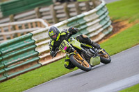 Advanced Group Green Bikes