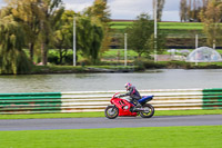 Lower Group Red Bikes