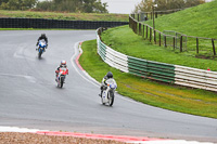 Lower Group White Bikes