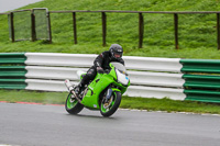 Middle  Group Green Bikes
