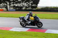 Lower Group Black Bikes