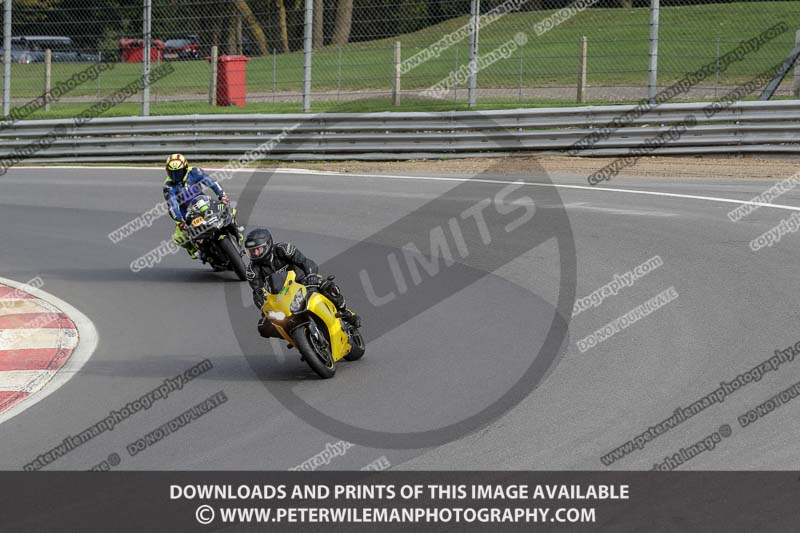 brands hatch photographs;brands no limits trackday;cadwell trackday photographs;enduro digital images;event digital images;eventdigitalimages;no limits trackdays;peter wileman photography;racing digital images;trackday digital images;trackday photos