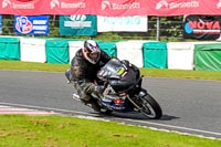 enduro-digital-images;event-digital-images;eventdigitalimages;mallory-park;mallory-park-photographs;mallory-park-trackday;mallory-park-trackday-photographs;no-limits-trackdays;peter-wileman-photography;racing-digital-images;trackday-digital-images;trackday-photos