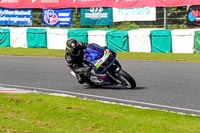 enduro-digital-images;event-digital-images;eventdigitalimages;mallory-park;mallory-park-photographs;mallory-park-trackday;mallory-park-trackday-photographs;no-limits-trackdays;peter-wileman-photography;racing-digital-images;trackday-digital-images;trackday-photos
