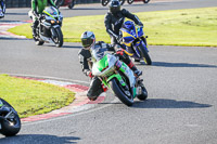 Middle  Group Green Bikes