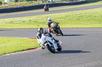 Middle  Group White Bikes
