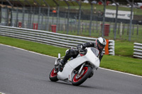 Advanced Group White Bikes