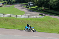enduro-digital-images;event-digital-images;eventdigitalimages;lydden-hill;lydden-hill-trackday-photographs;lydden-no-limits-trackday;lydden-photographs;no-limits-trackdays;peter-wileman-photography;racing-digital-images;trackday-digital-images;trackday-photos