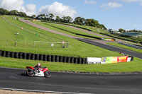 enduro-digital-images;event-digital-images;eventdigitalimages;lydden-hill;lydden-hill-trackday-photographs;lydden-no-limits-trackday;lydden-photographs;no-limits-trackdays;peter-wileman-photography;racing-digital-images;trackday-digital-images;trackday-photos