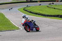 enduro-digital-images;event-digital-images;eventdigitalimages;lydden-hill;lydden-hill-trackday-photographs;lydden-no-limits-trackday;lydden-photographs;no-limits-trackdays;peter-wileman-photography;racing-digital-images;trackday-digital-images;trackday-photos