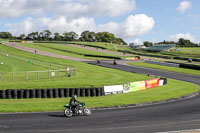 enduro-digital-images;event-digital-images;eventdigitalimages;lydden-hill;lydden-hill-trackday-photographs;lydden-no-limits-trackday;lydden-photographs;no-limits-trackdays;peter-wileman-photography;racing-digital-images;trackday-digital-images;trackday-photos