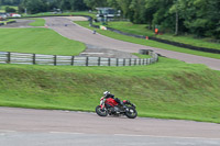 enduro-digital-images;event-digital-images;eventdigitalimages;lydden-hill;lydden-hill-trackday-photographs;lydden-no-limits-trackday;lydden-photographs;no-limits-trackdays;peter-wileman-photography;racing-digital-images;trackday-digital-images;trackday-photos