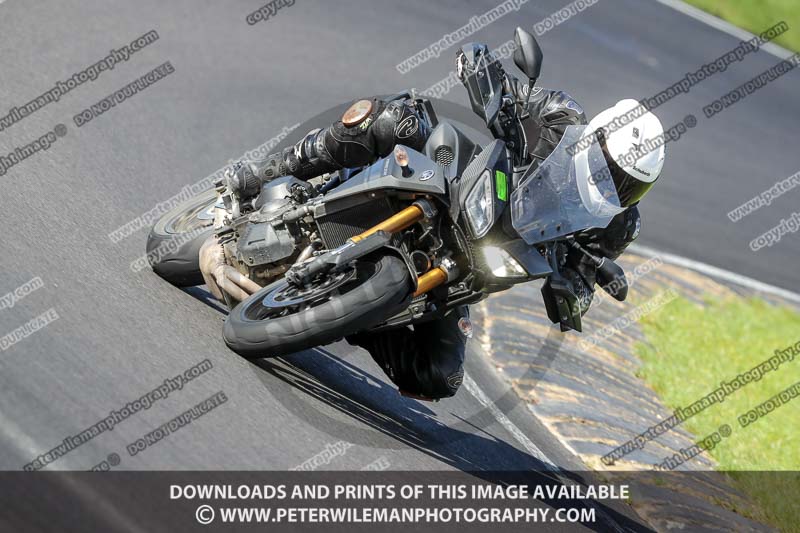 enduro digital images;event digital images;eventdigitalimages;lydden hill;lydden hill trackday photographs;lydden no limits trackday;lydden photographs;no limits trackdays;peter wileman photography;racing digital images;trackday digital images;trackday photos
