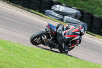 enduro-digital-images;event-digital-images;eventdigitalimages;lydden-hill;lydden-hill-trackday-photographs;lydden-no-limits-trackday;lydden-photographs;no-limits-trackdays;peter-wileman-photography;racing-digital-images;trackday-digital-images;trackday-photos