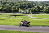 enduro-digital-images;event-digital-images;eventdigitalimages;lydden-hill;lydden-hill-trackday-photographs;lydden-no-limits-trackday;lydden-photographs;no-limits-trackdays;peter-wileman-photography;racing-digital-images;trackday-digital-images;trackday-photos