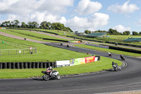 enduro-digital-images;event-digital-images;eventdigitalimages;lydden-hill;lydden-hill-trackday-photographs;lydden-no-limits-trackday;lydden-photographs;no-limits-trackdays;peter-wileman-photography;racing-digital-images;trackday-digital-images;trackday-photos