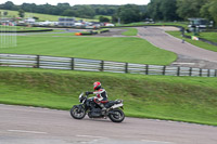 enduro-digital-images;event-digital-images;eventdigitalimages;lydden-hill;lydden-hill-trackday-photographs;lydden-no-limits-trackday;lydden-photographs;no-limits-trackdays;peter-wileman-photography;racing-digital-images;trackday-digital-images;trackday-photos