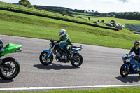 enduro-digital-images;event-digital-images;eventdigitalimages;lydden-hill;lydden-hill-trackday-photographs;lydden-no-limits-trackday;lydden-photographs;no-limits-trackdays;peter-wileman-photography;racing-digital-images;trackday-digital-images;trackday-photos