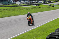 enduro-digital-images;event-digital-images;eventdigitalimages;lydden-hill;lydden-hill-trackday-photographs;lydden-no-limits-trackday;lydden-photographs;no-limits-trackdays;peter-wileman-photography;racing-digital-images;trackday-digital-images;trackday-photos