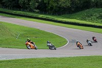 enduro-digital-images;event-digital-images;eventdigitalimages;lydden-hill;lydden-hill-trackday-photographs;lydden-no-limits-trackday;lydden-photographs;no-limits-trackdays;peter-wileman-photography;racing-digital-images;trackday-digital-images;trackday-photos