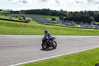 enduro-digital-images;event-digital-images;eventdigitalimages;lydden-hill;lydden-hill-trackday-photographs;lydden-no-limits-trackday;lydden-photographs;no-limits-trackdays;peter-wileman-photography;racing-digital-images;trackday-digital-images;trackday-photos