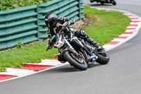 Middle Group Black Bikes