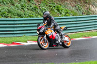 Middle Group Orange Bikes