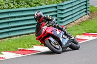 cadwell-no-limits-trackday;cadwell-park;cadwell-park-photographs;cadwell-trackday-photographs;enduro-digital-images;event-digital-images;eventdigitalimages;no-limits-trackdays;peter-wileman-photography;racing-digital-images;trackday-digital-images;trackday-photos