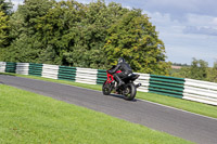 Lower Group Red Bikes