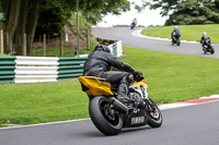 cadwell-no-limits-trackday;cadwell-park;cadwell-park-photographs;cadwell-trackday-photographs;enduro-digital-images;event-digital-images;eventdigitalimages;no-limits-trackdays;peter-wileman-photography;racing-digital-images;trackday-digital-images;trackday-photos