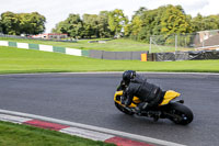 Lower Group Yellow Bikes