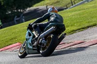 anglesey;brands-hatch;cadwell-park;croft;donington-park;enduro-digital-images;event-digital-images;eventdigitalimages;mallory;no-limits;oulton-park;peter-wileman-photography;racing-digital-images;silverstone;snetterton;trackday-digital-images;trackday-photos;vmcc-banbury-run;welsh-2-day-enduro