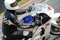 anglesey;brands-hatch;cadwell-park;croft;donington-park;enduro-digital-images;event-digital-images;eventdigitalimages;mallory;no-limits;oulton-park;peter-wileman-photography;racing-digital-images;silverstone;snetterton;trackday-digital-images;trackday-photos;vmcc-banbury-run;welsh-2-day-enduro