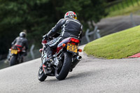anglesey;brands-hatch;cadwell-park;croft;donington-park;enduro-digital-images;event-digital-images;eventdigitalimages;mallory;no-limits;oulton-park;peter-wileman-photography;racing-digital-images;silverstone;snetterton;trackday-digital-images;trackday-photos;vmcc-banbury-run;welsh-2-day-enduro