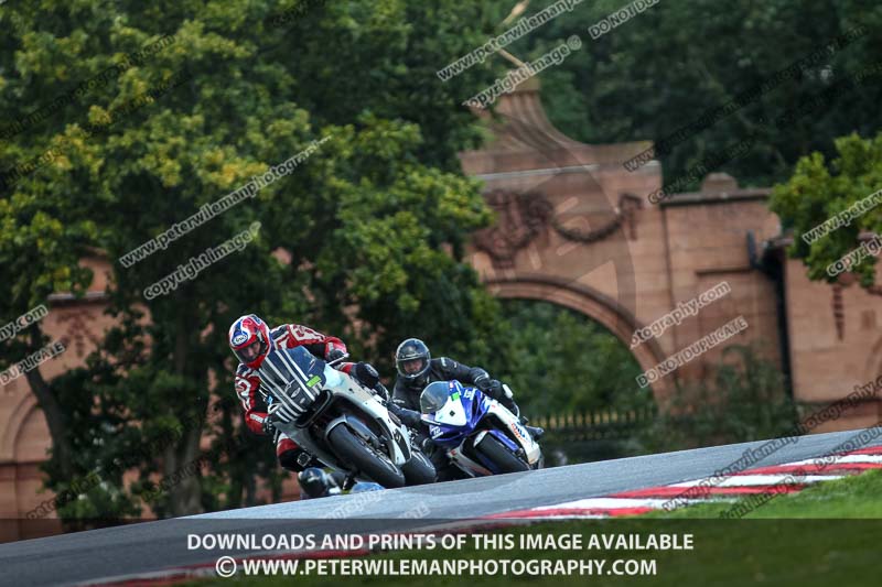 anglesey;brands hatch;cadwell park;croft;donington park;enduro digital images;event digital images;eventdigitalimages;mallory;no limits;oulton park;peter wileman photography;racing digital images;silverstone;snetterton;trackday digital images;trackday photos;vmcc banbury run;welsh 2 day enduro