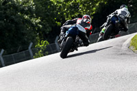 anglesey;brands-hatch;cadwell-park;croft;donington-park;enduro-digital-images;event-digital-images;eventdigitalimages;mallory;no-limits;oulton-park;peter-wileman-photography;racing-digital-images;silverstone;snetterton;trackday-digital-images;trackday-photos;vmcc-banbury-run;welsh-2-day-enduro