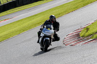 anglesey;brands-hatch;cadwell-park;croft;donington-park;enduro-digital-images;event-digital-images;eventdigitalimages;mallory;no-limits;oulton-park;peter-wileman-photography;racing-digital-images;silverstone;snetterton;trackday-digital-images;trackday-photos;vmcc-banbury-run;welsh-2-day-enduro