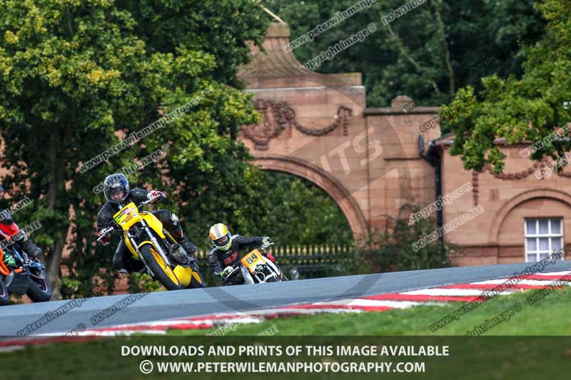 anglesey;brands hatch;cadwell park;croft;donington park;enduro digital images;event digital images;eventdigitalimages;mallory;no limits;oulton park;peter wileman photography;racing digital images;silverstone;snetterton;trackday digital images;trackday photos;vmcc banbury run;welsh 2 day enduro