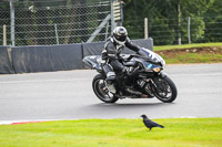 Middle Group Black Bikes