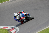 anglesey;brands-hatch;cadwell-park;croft;donington-park;enduro-digital-images;event-digital-images;eventdigitalimages;mallory;no-limits;oulton-park;peter-wileman-photography;racing-digital-images;silverstone;snetterton;trackday-digital-images;trackday-photos;vmcc-banbury-run;welsh-2-day-enduro
