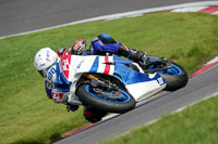 anglesey;brands-hatch;cadwell-park;croft;donington-park;enduro-digital-images;event-digital-images;eventdigitalimages;mallory;no-limits;oulton-park;peter-wileman-photography;racing-digital-images;silverstone;snetterton;trackday-digital-images;trackday-photos;vmcc-banbury-run;welsh-2-day-enduro