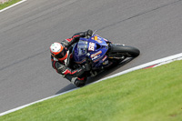 anglesey;brands-hatch;cadwell-park;croft;donington-park;enduro-digital-images;event-digital-images;eventdigitalimages;mallory;no-limits;oulton-park;peter-wileman-photography;racing-digital-images;silverstone;snetterton;trackday-digital-images;trackday-photos;vmcc-banbury-run;welsh-2-day-enduro