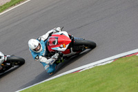 anglesey;brands-hatch;cadwell-park;croft;donington-park;enduro-digital-images;event-digital-images;eventdigitalimages;mallory;no-limits;oulton-park;peter-wileman-photography;racing-digital-images;silverstone;snetterton;trackday-digital-images;trackday-photos;vmcc-banbury-run;welsh-2-day-enduro