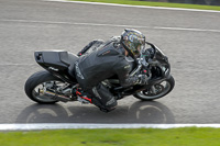 Lower Group Black Bikes
