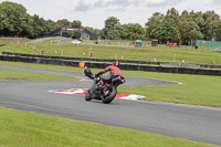 Lower Group Black Bikes