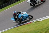 anglesey;brands-hatch;cadwell-park;croft;donington-park;enduro-digital-images;event-digital-images;eventdigitalimages;mallory;no-limits;oulton-park;peter-wileman-photography;racing-digital-images;silverstone;snetterton;trackday-digital-images;trackday-photos;vmcc-banbury-run;welsh-2-day-enduro